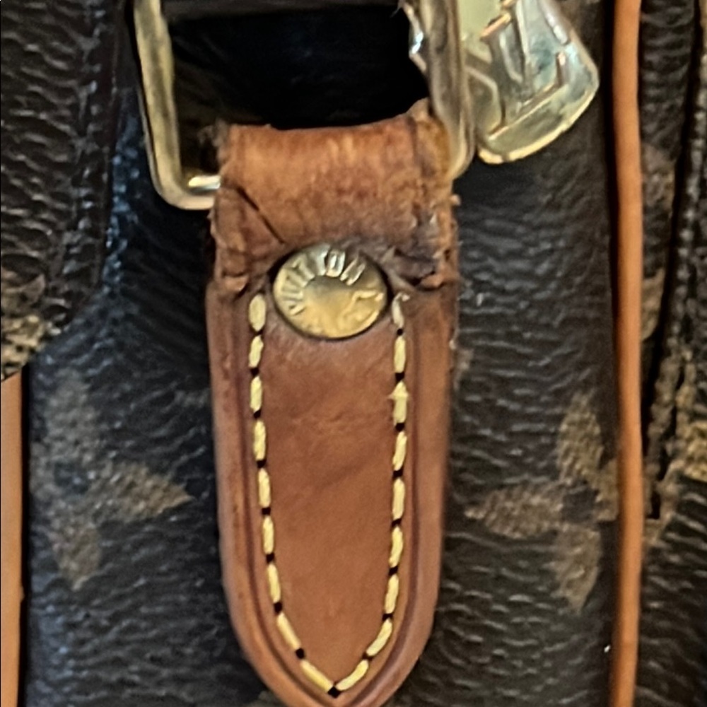 Louis Vuitton Amazon Crossbody Bag - Picture 6 of 14
